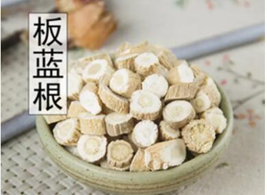 板藍根檢測 板藍根檢測報告